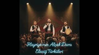 Hayriyemin Alçak Damı - Elazığ Türküsü - Cover Ai