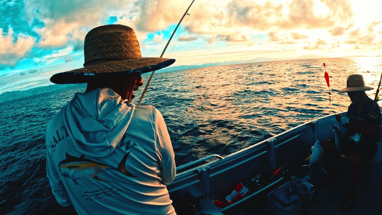 Pêche o pico en nc 2026🎣🎣🇳🇨🇳🇨