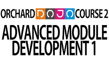Dojo Course 2 (23) - Advanced module development with Migrations and data storage