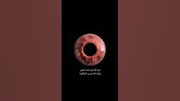 حالات واتس اب قران ♥️🖇️|| حالات واتس قرأن || تلاوة خاشعة || Quran Status💙 اية قرانية قصيره🎧