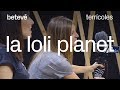 Entrevista a La Loli Planet - Terrícoles | betevé