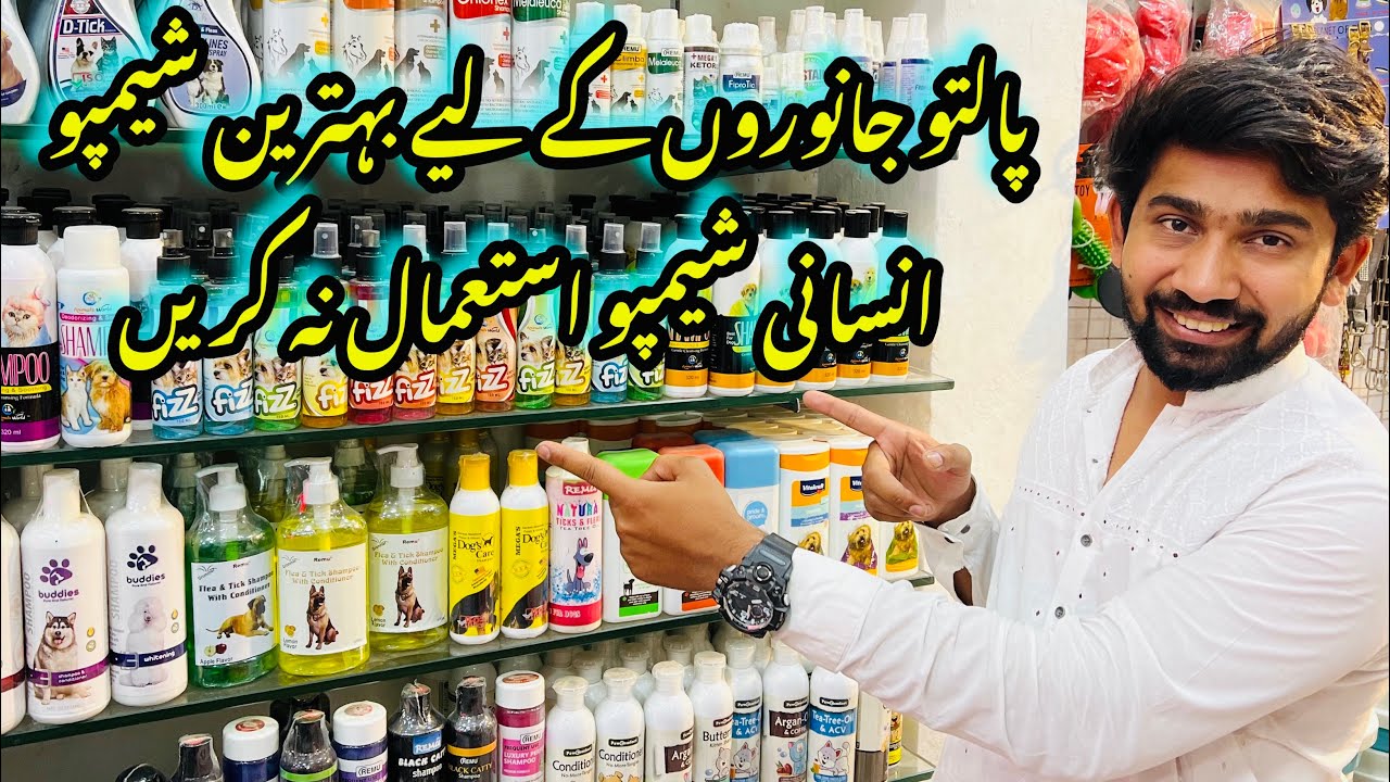 Best Shampoo For Pets Dont Use Human Shampoo Best Shampoo For All