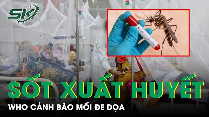 Có bao nhiêu nước thuộc khu vực đông nam á