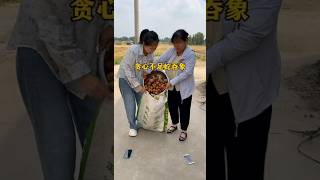 Funny Videos Chinese Funny Video