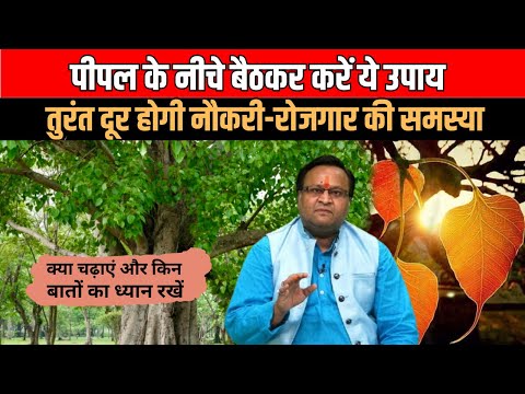 Peepal के नीचे करें बस ये 1 काम, तुरंत मिलेगी नौकरी! | Family Guru