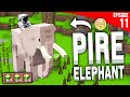 N'ADOPTEZ JAMAIS UN ELEPHANT... (je lui ai donné 100.000 bambous) - Episode 11 | Paladium S7