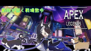 APEX女子（動物）にオヤジ狩り（28000歳）されるネコの射劇【 APEX Vtuber すとれいにゃんこ】