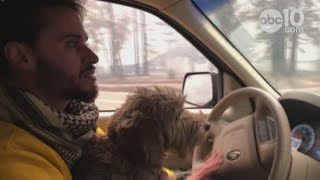 Camp Fire: Reporter rescues dog from wildfire in Butte County