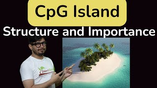 CpG Island methylation | Role of cpg island in DNA methylation | cpg islands csir net