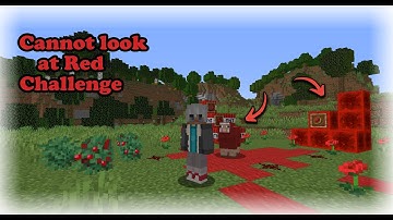 Minecraft, BUT If I see Red The Video Ends