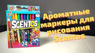 Обзор набора ароматных маркеров для рисования Scentos Тонкая линия 24 цвета из ROZETKA