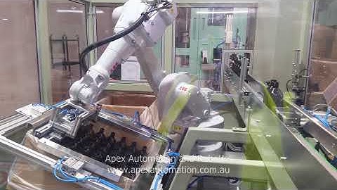 Robotic Bottle Packer - RPC 400