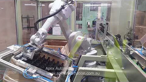 Robotic Bottle Packer - RPC 400