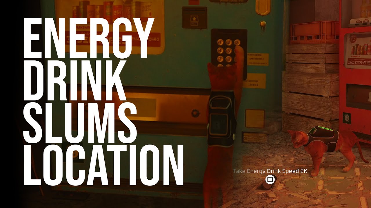 Where to get the energy drinks in the slums Stray Game Guide stray 