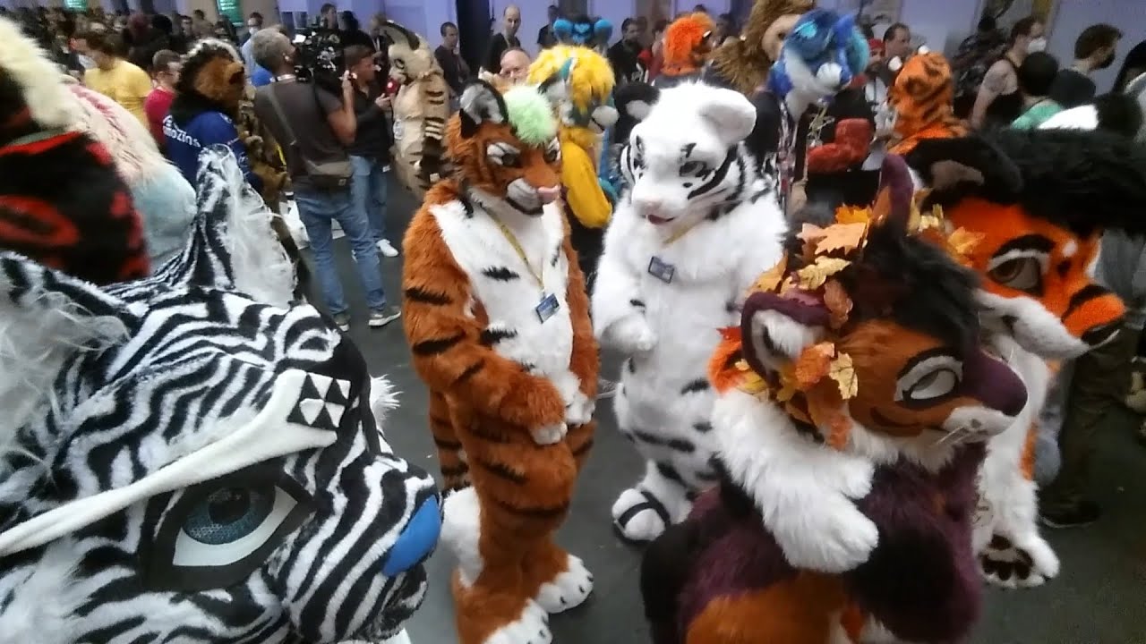 Eurofurence 26 - VLOG Part 5 - Samstag - YouTube