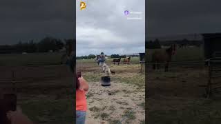 Лошадь скинула девочку