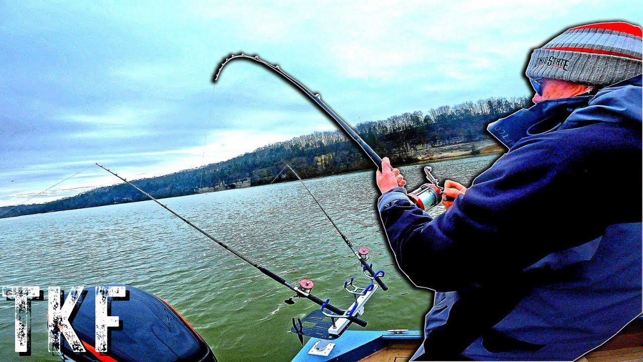 doll fishing hooks DOLL FISH==MINT= XL 4"BODY, C-70'S,SIL/SCALE SIDES,BLK BACK, .90OZ,HOOKS,HDWE