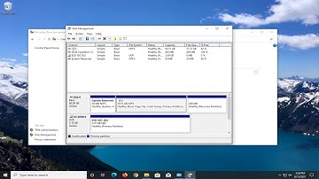 Windows 10 WhatsApp Desktop App Not Opening Fix [Tutorial]