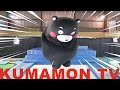  kumamon tvkumamon does backflips