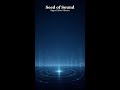 Seed of Sound | Signal After Silence