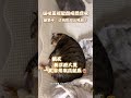 生活趣事分享