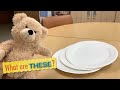 What are these? What are those? | English for Kids