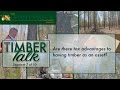 Timber Talk:  Are there tax advantages to having timber as an asset? (7 of 10)