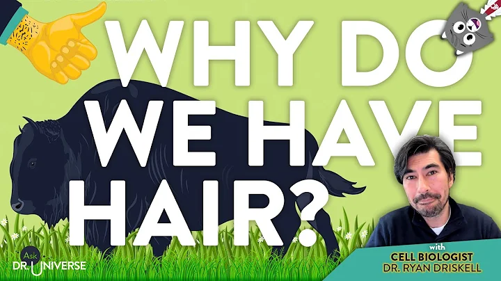 Why Do We Have Hair? With Dr. Ryan Driskell
