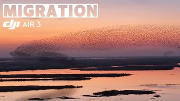 DJI Air 3 |  The Bird Migration