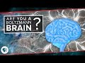 Understanding Boltzmann Brains and Entropy