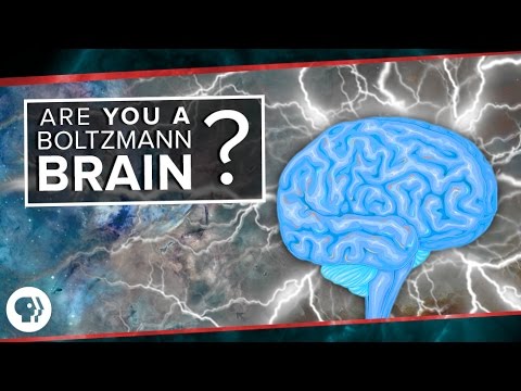 Are You a Boltzmann Brain?