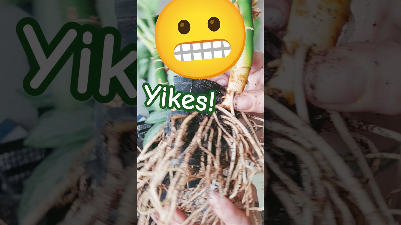 Finally getting free!