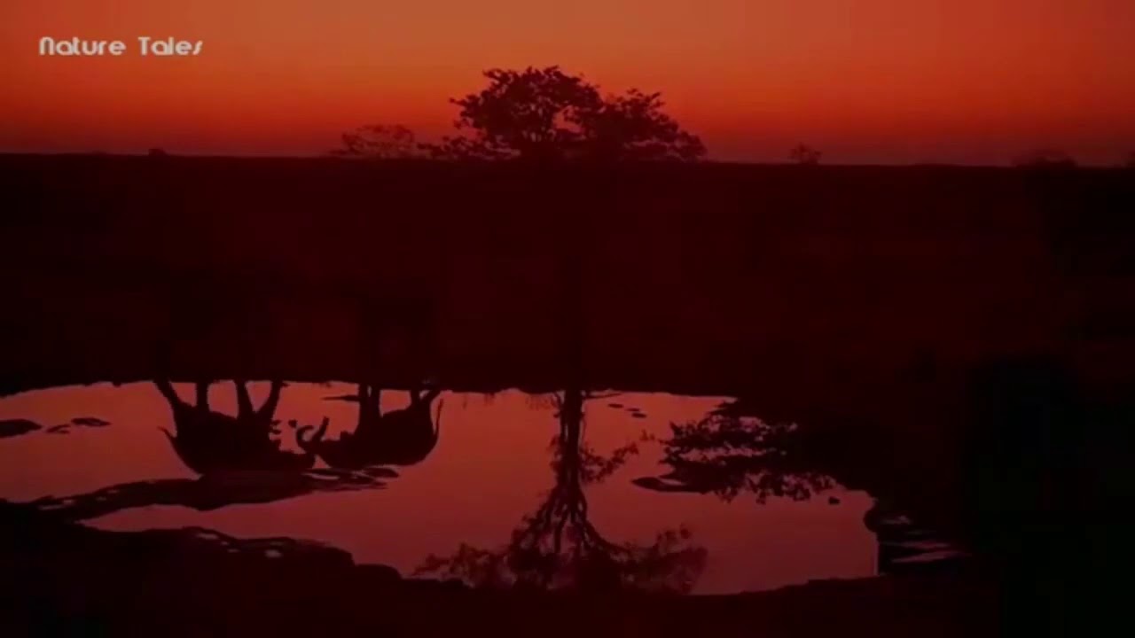 تلاوة خاشعة من سورة الهود | الشيخ خالد إسماعيل حفظه الله