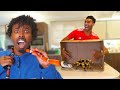 Whats in the box challenge live animals