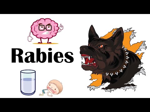 Video: Sådan identificeres rabies hos mennesker: 11 trin (med billeder)