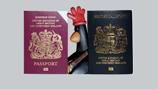 NewBluePassport