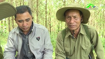 Nâng cao trách nhiệm trong công tác quản lý bảo vệ rừng | Lâm Đồng TV