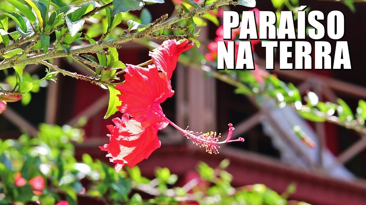 ⁣Velejadores são bem-vindos na Pousada Canto do Hibisco