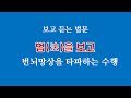 법을 보고 번뇌망상을 타파하는 수행, 위빳사나의 지혜