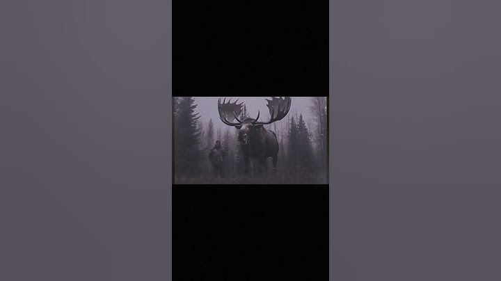 Largest Moose #creepy #scary #terrors #nightmare #moose #ai #giant