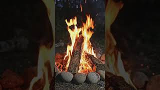 Campfire ASMR 🔥 Crackling Fire Sounds for Sleep &amp; Relaxation | Cozy Forest Night Ambience