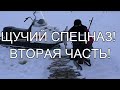 ЛОСЬ ПРИШЁЛ НА РАЗБОРКИ, НО ЕЛЕ УНЕС НОГИ!  НАШЕЛ ОЗЕРО С КУЧЕЙ РЫБЫ! ЛУЧШАЯ РЫБАЛКА СЕЗОНА!