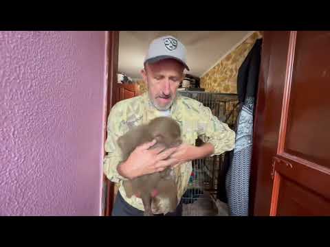 Это НЕ ЛЕГКО! Наши малыши разбегаются как тараканы в разные стороны и собрать их НЕ ПРОСТО)))