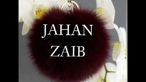 Jahanzaib Name Status