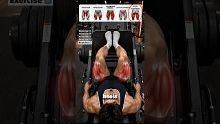 🔥 5 Leg Press Foot Positions for Maximum Growth #fitness #gym #legpress #legday #quads
