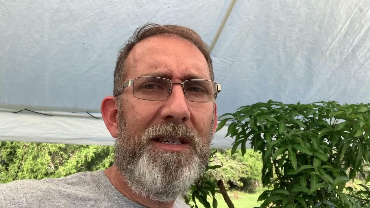 Big box stores will sell you fruit trees not suitable for your area