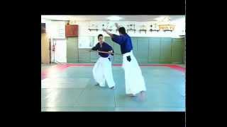 Ёсэйкан Будо - синтез техник боевых искусств. Техника волнового удара. Боевые искусства