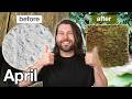 Good News in April (you might have missed)