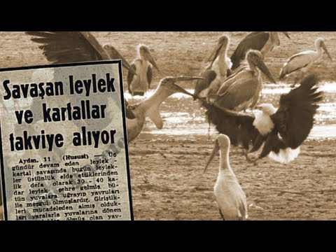 LEYLEKLER'İN VE KARTALLAR'IN EFSANEVİ SAVAŞI