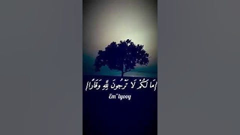 فضل الاستغفار في سورة نوح
